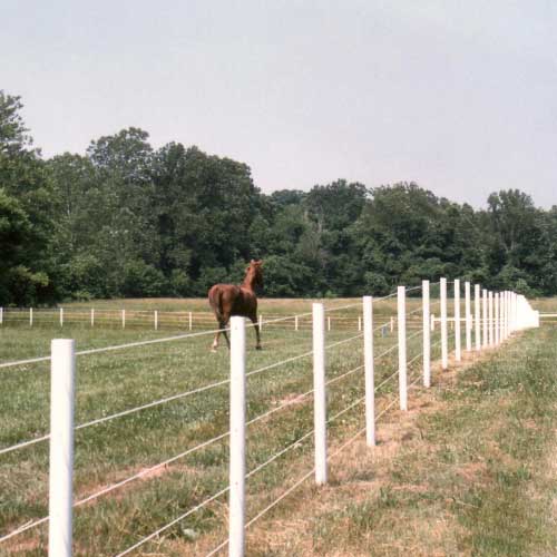 electric fence rope premium
