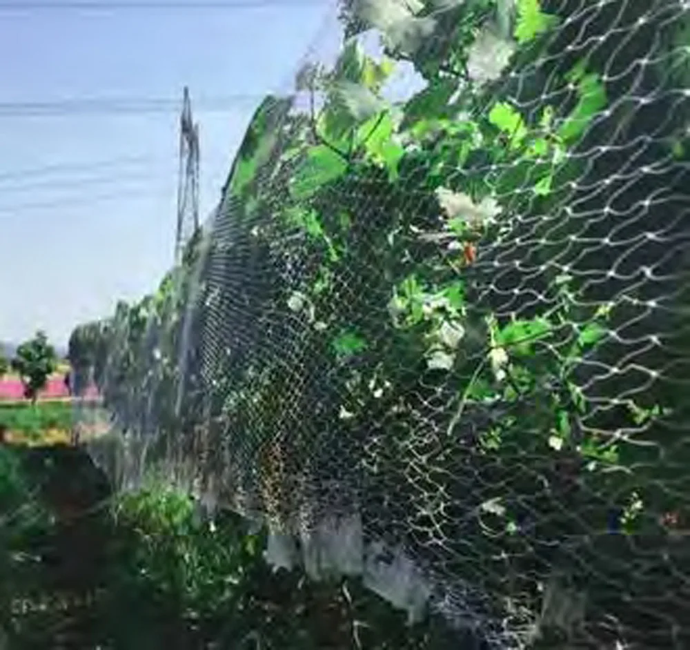 Anti-Bird Nets