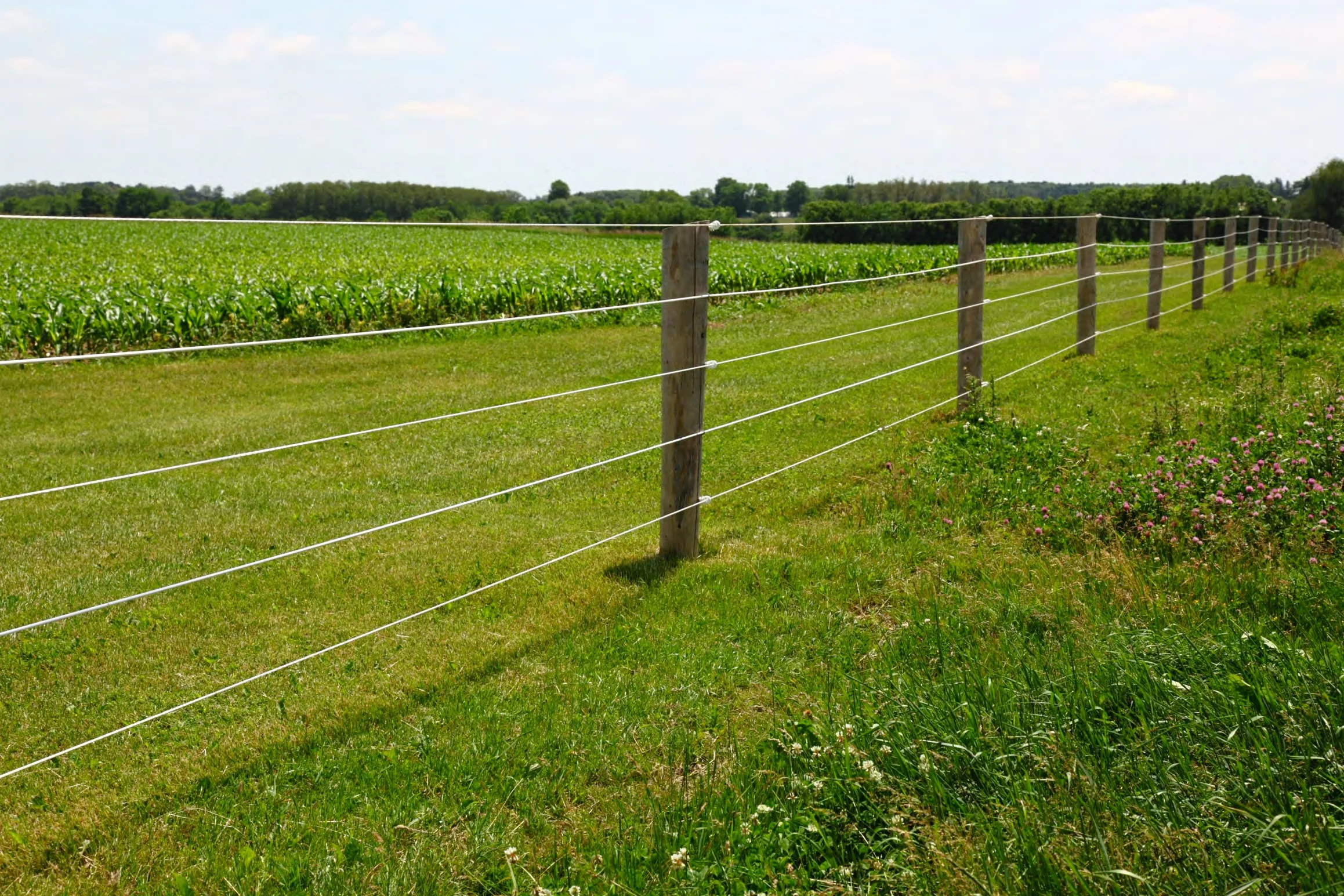 Electric Fence Rope